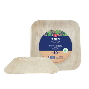 צלחות מרובעות גדול מדקל 10 יח`