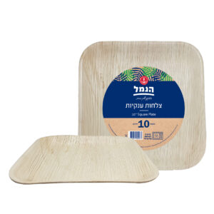 צלחות מרובעות ענק מדקל 10 יח`