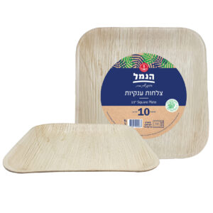 צלחות מרובעות ענק מדקל 10 יח`