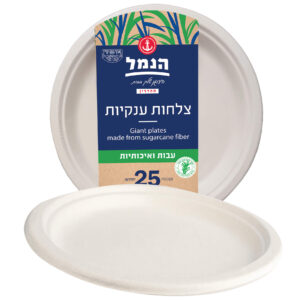 צלחות ענקיות מקנה סוכר 25 יחידות