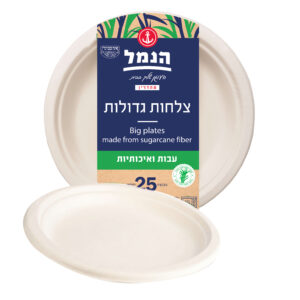 צלחות גדולות מקנה סוכר 25 יח`