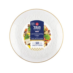 צלחות ספיר גדולות 10 יח` - שקוף