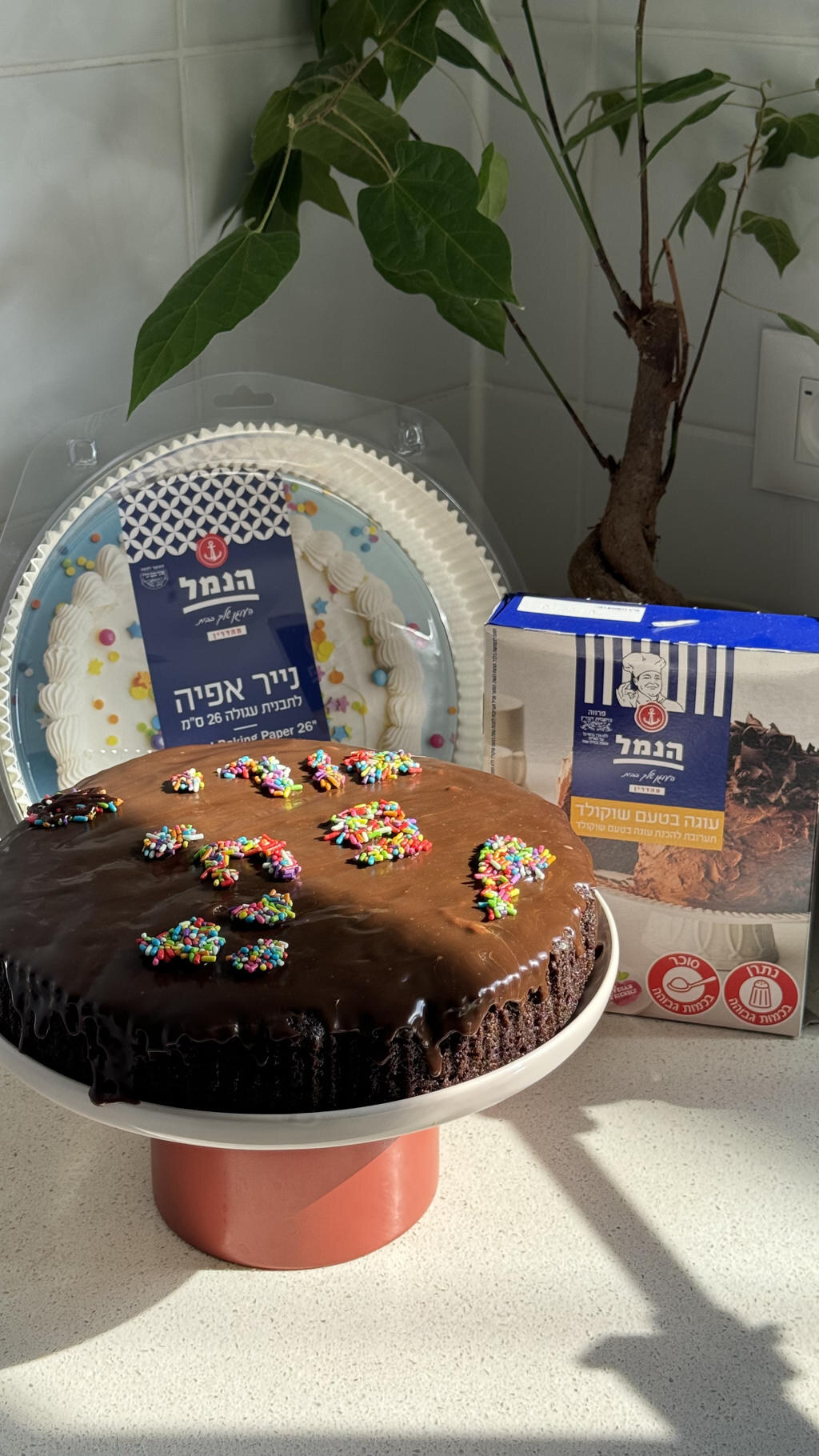 קישוטי שוקולד מריר וסוכריות על עוגת יום הולדת — מתכוני הנמל